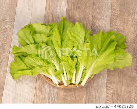 野菜 ベジタブル 青菜 44081329