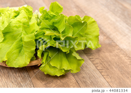 野菜 ベジタブル 青菜 44081334
