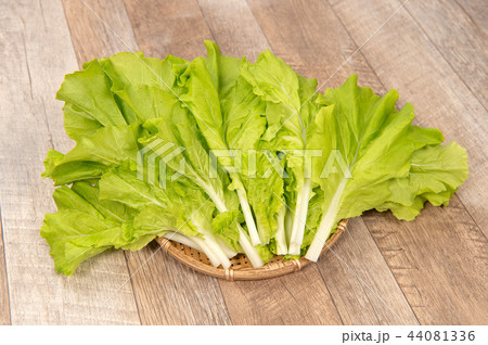 野菜 ベジタブル 青菜 44081336