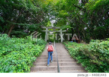 宝登山神社の奥宮へ続く階段 44081443