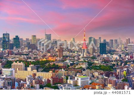 Tokyo, Japan Cityscape at Dusk 44081571