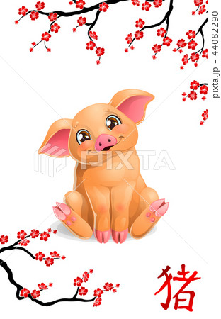 Cute pig and oriental cherry branch on whit 44082290