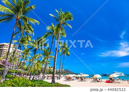 《ハワイ》ワイキキビーチ・バカンス 《ハワイ》ワイキキビーチ・バカンス 44082522