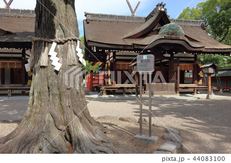 住吉大社(大阪市) 44083100