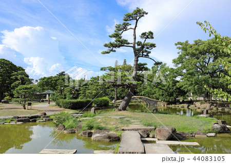 住吉公園(大阪市) 44083105