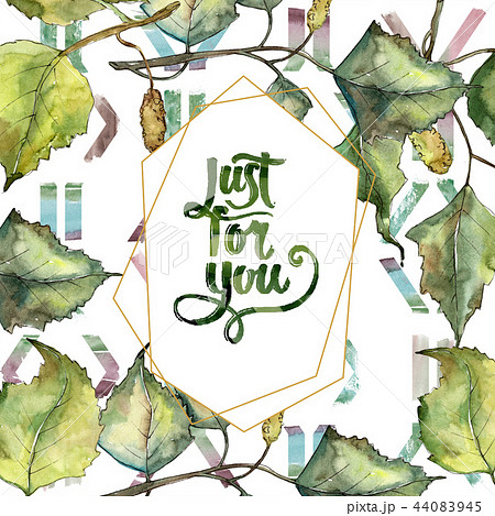 Green autumn leaf birch. Leaf plant botanical garden floral foliage. Isolated illustration element. 44083945