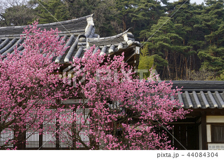 顕忠祠 忠南 李 44084304