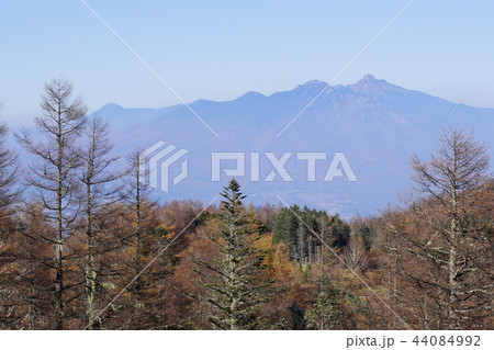 千頭星山からの八ヶ岳 千頭星山からの八ヶ岳 44084992
