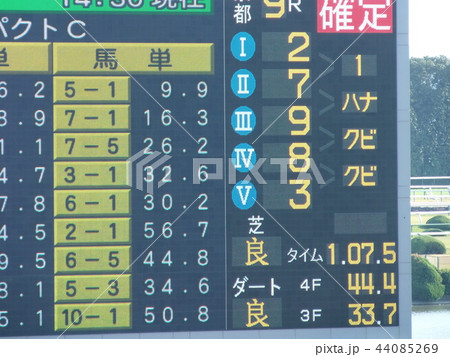競馬の結果 競馬の結果 44085269