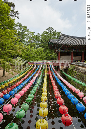 提灯 カラー カラフル 44085331