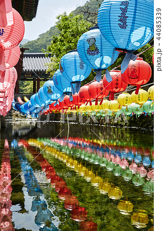 反射 反影 提灯 44085339