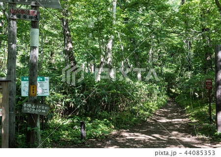 半月湖周辺の散策コース 半月湖周辺の散策コース 44085353
