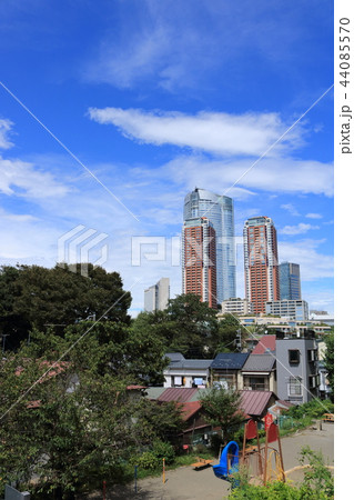 六本木ヒルズと元麻布 六本木ヒルズと元麻布 44085570