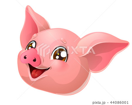 The Lovely pink pig head on white 44086001