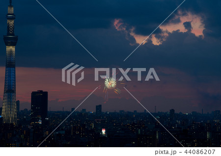隅田川花火大会 44086207