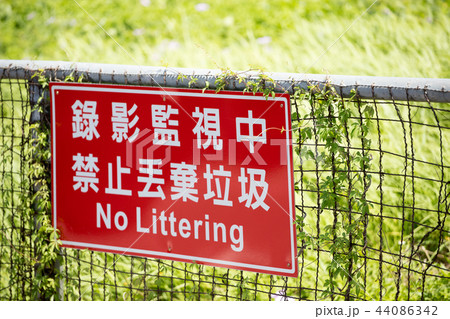 草 赤色 赤 44086342