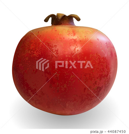 Realistic 3D Vector Illustration colorful sweet ripe pomegranate Realistic 3D Vector Illustration colorful sweet ripe pomegranate 44087450