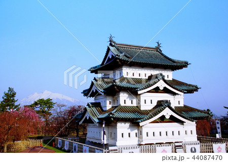 弘前城 桜 天守閣 / 本丸 2018年 弘前さくら祭 ( 青森県 弘前市 下白銀町 ) 弘前城 桜 天守閣 / 本丸 2018年 弘前さくら祭 ( 青森県 弘前市 下白銀町 ) 44087470