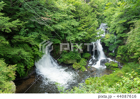 栃木県日光市　竜頭ノ滝（8月）雨後 44087616