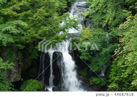 栃木県日光市　竜頭ノ滝（8月）雨後 44087618
