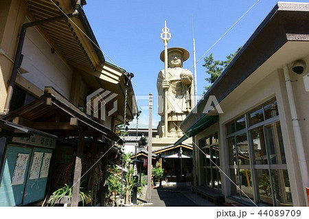 春日井市 勝川大弘法 春日井市 勝川大弘法 44089709