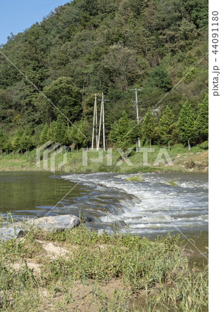 鎮川ノンギョ 鎮川郡 忠清北道 44091180
