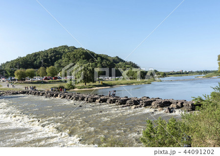 鎮川ノンギョ 鎮川郡 忠清北道 44091202