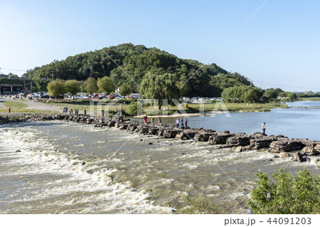 鎮川ノンギョ 鎮川郡 忠清北道 44091203