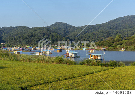 釣り場 初平貯水池 韓国 44091588
