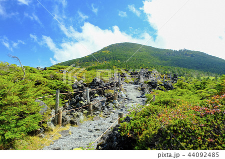 坪庭遊歩道と縞枯山 坪庭遊歩道と縞枯山 44092485