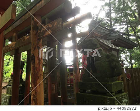 いにしえの神社 いにしえの神社 44092872
