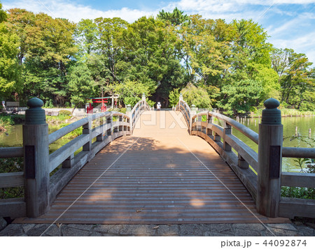 東京都 洗足池公園 東京都 洗足池公園 44092874