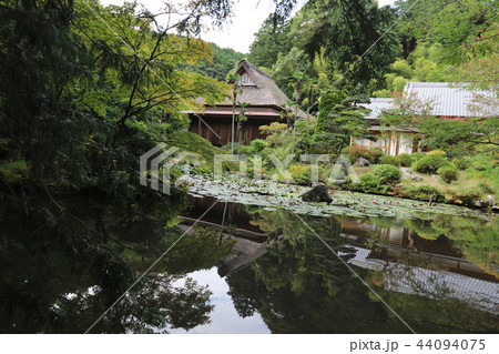 大覚寺　　石岡市 44094075