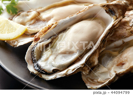 生牡蠣イメージ 生牡蠣イメージ 44094799