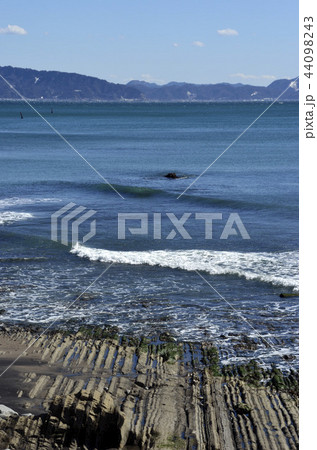 冬の東京湾 44098243