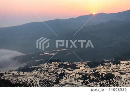 元陽・老虎嘴・棚田・朝日 元陽・老虎嘴・棚田・朝日 44098582