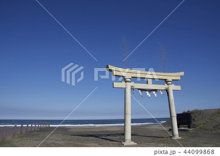 釣ヶ崎海岸 Tsurigasaki Beach 44099868