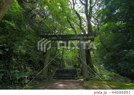 本吉山 清水寺  きよみずでら 44099991