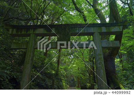 本吉山 清水寺  きよみずでら 44099992