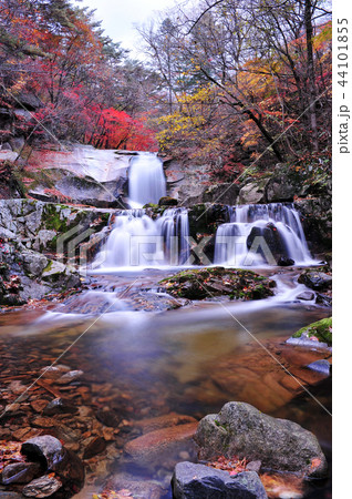 紅葉 滝 風景 44101855