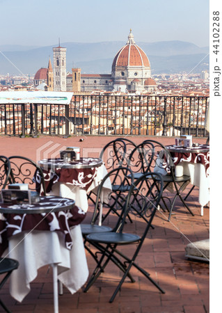Cafe in Florencia Cafe in Florencia 44102288