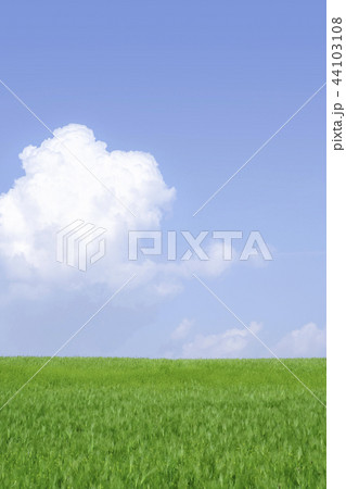 高敞郡 田畑 農業 44103108