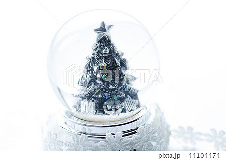 スノードーム クリスマスツリーの写真素材