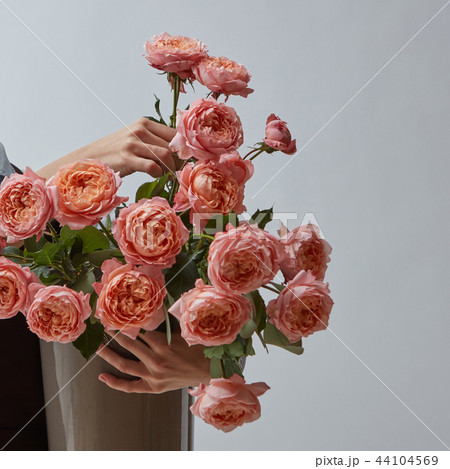 A big bright bouquet of pink roses in a vase is held by women's hands on a gray background with a A big bright bouquet of pink roses in a vase is held by women's hands on a gray background with a 44104569
