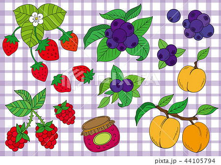 苺やブルーベリー果実のイラストのイラスト素材