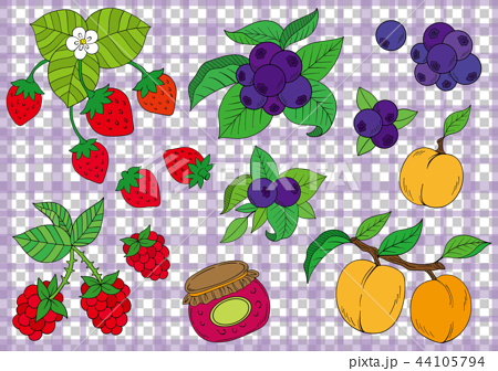 苺やブルーベリー果実のイラストのイラスト素材