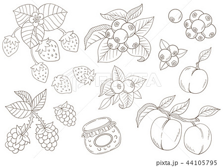 苺やブルーベリー果実のイラストのイラスト素材 44105795 Pixta