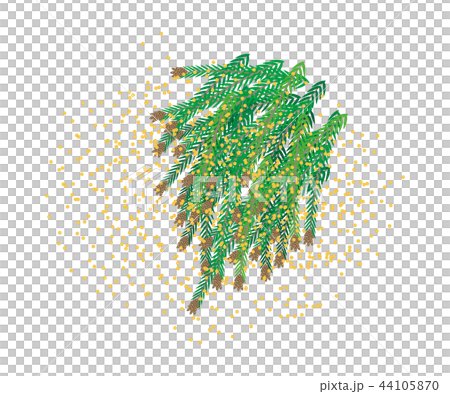 雪松花粉 44105870