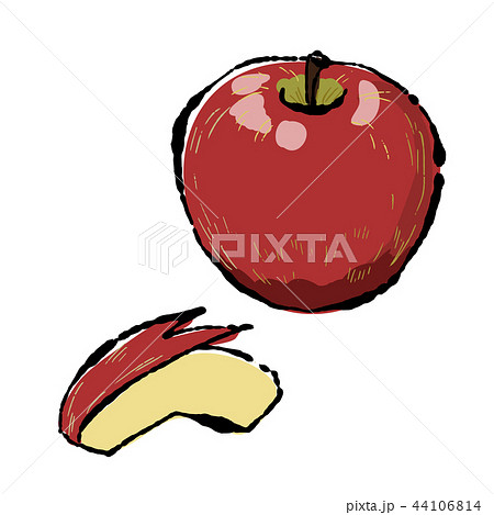 りんご 手描きイラストのイラスト素材