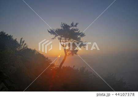 雲海 グクサボン 任實郡 44107378